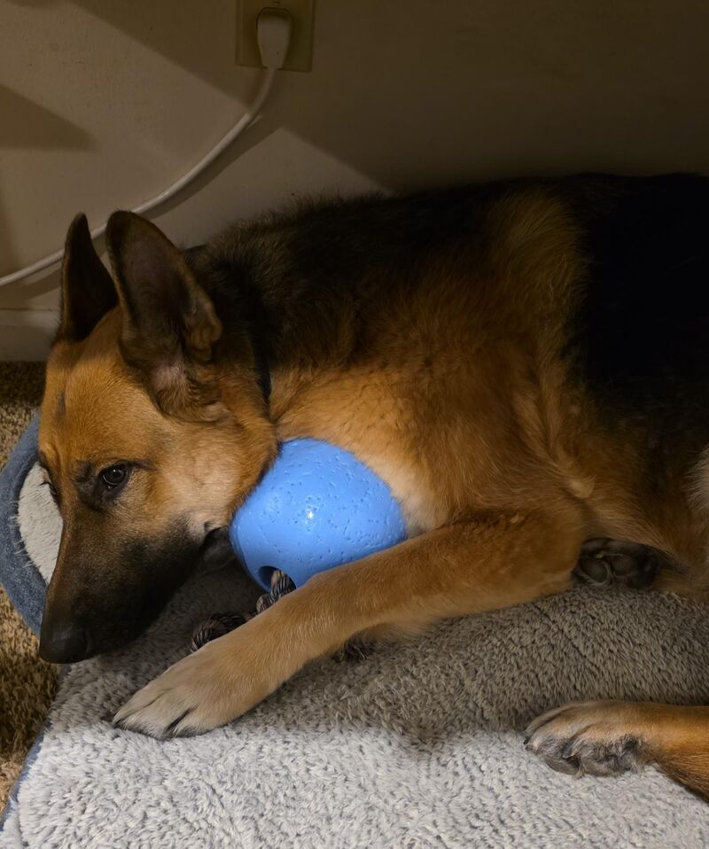 This is my ball. There are many like it, but this one is mine.