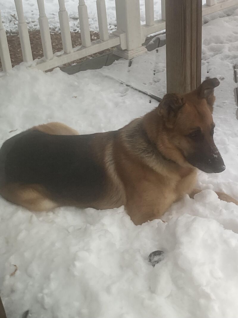 Nothing like a fresh snow.