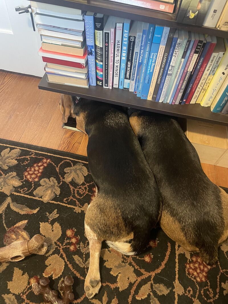 The heat just kicked on.