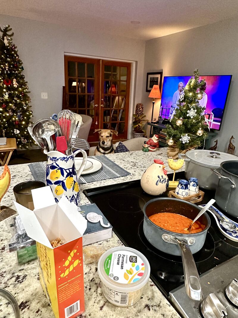 Zoe thinks if she closes her eyes that I won’t notice her lurking…