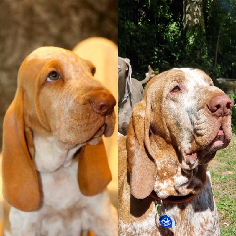 A decade later and still my baby