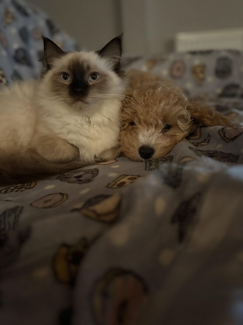 Shady and Stormy 🥰🥰