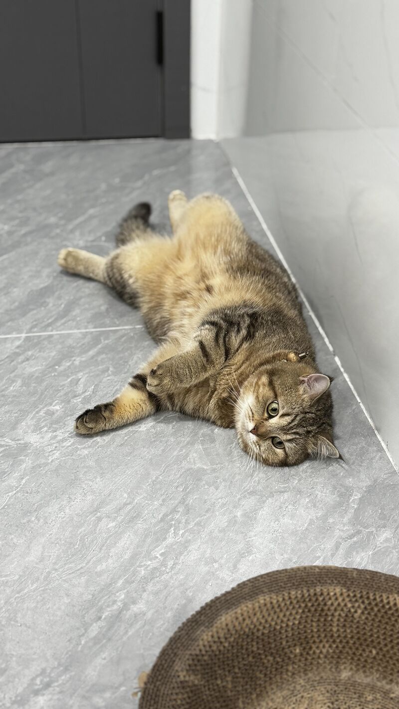 She saw the camera and went full wiggle mode