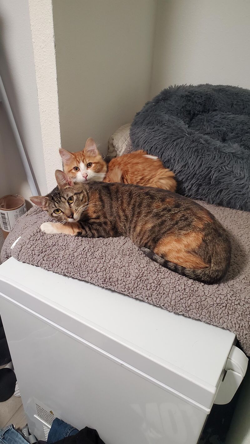 Mom and daughter cuddling