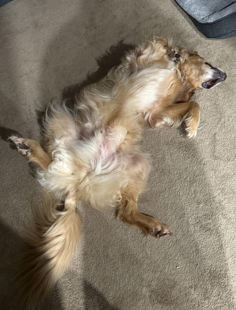 I uh….. I’m not really sure….