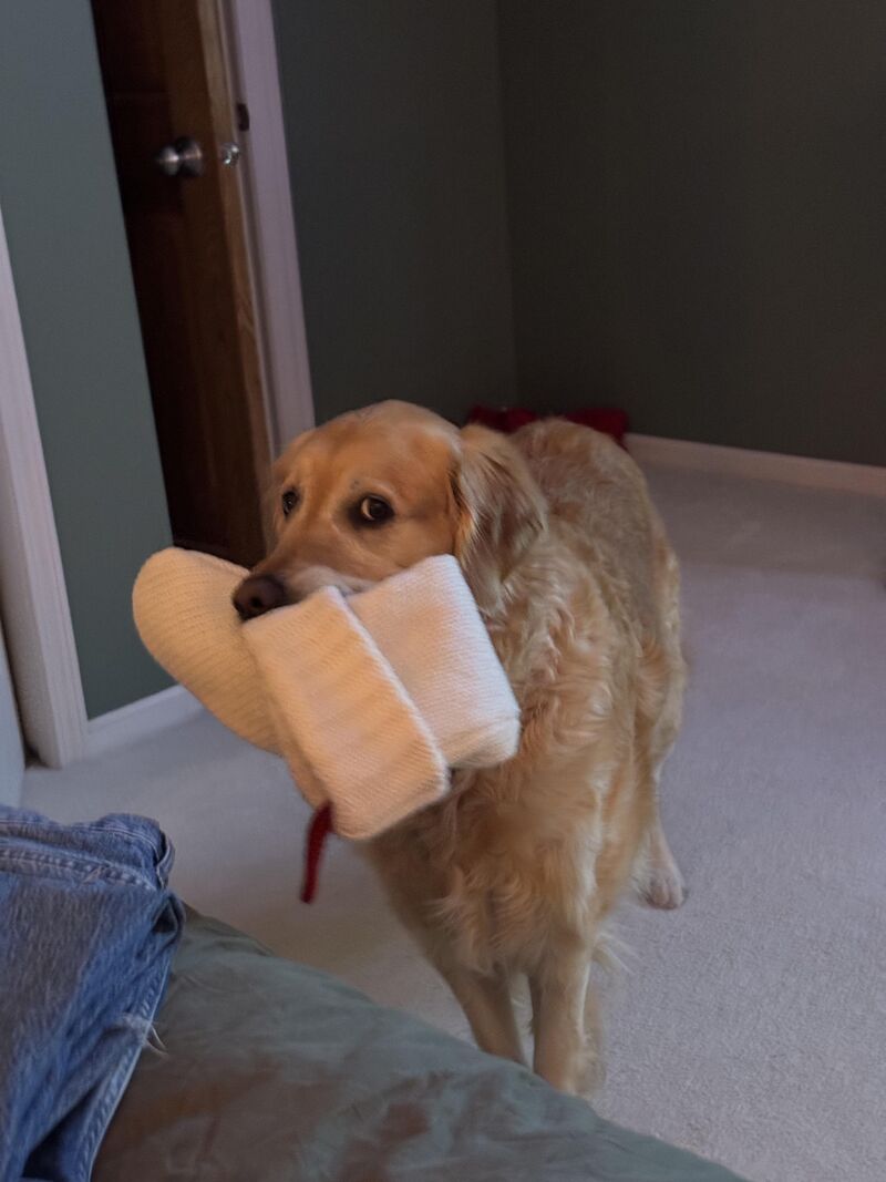 Odin brought a full stocking upstairs