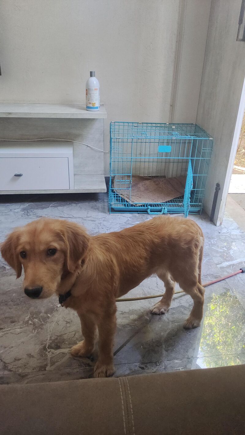 Hi Reddit, I am concerned.