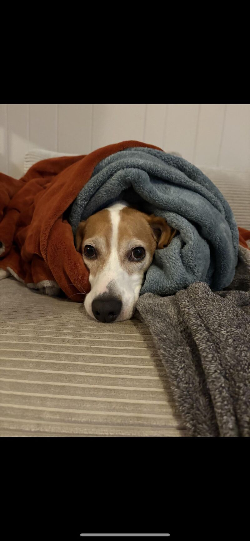 Early greying In the face?