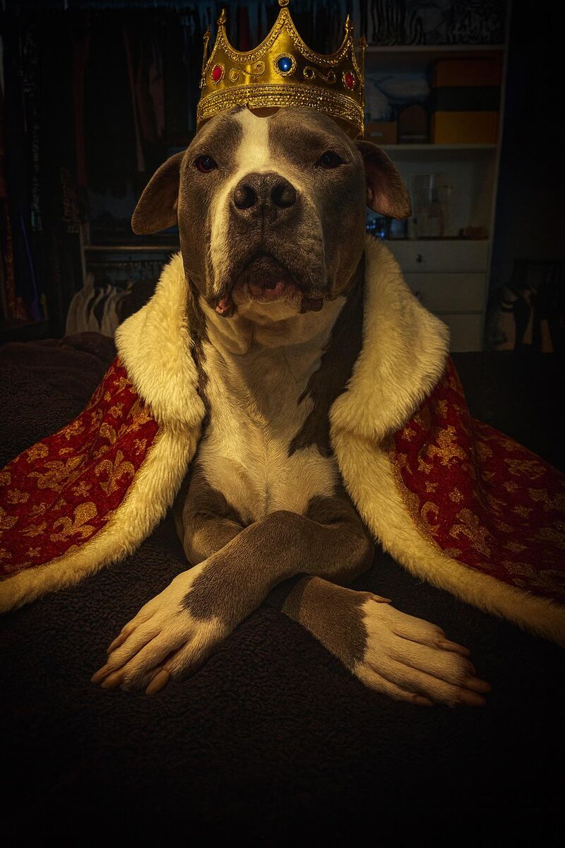 Happy Birthday to the goodiest boy EVER!