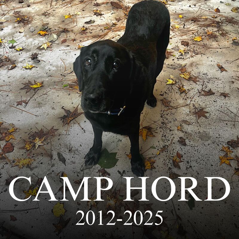 Earlier this week, my family lost its furry friend of 13+ years. Camp was the sweetest animal I have ever known. His understanding of human emotion was amazing.