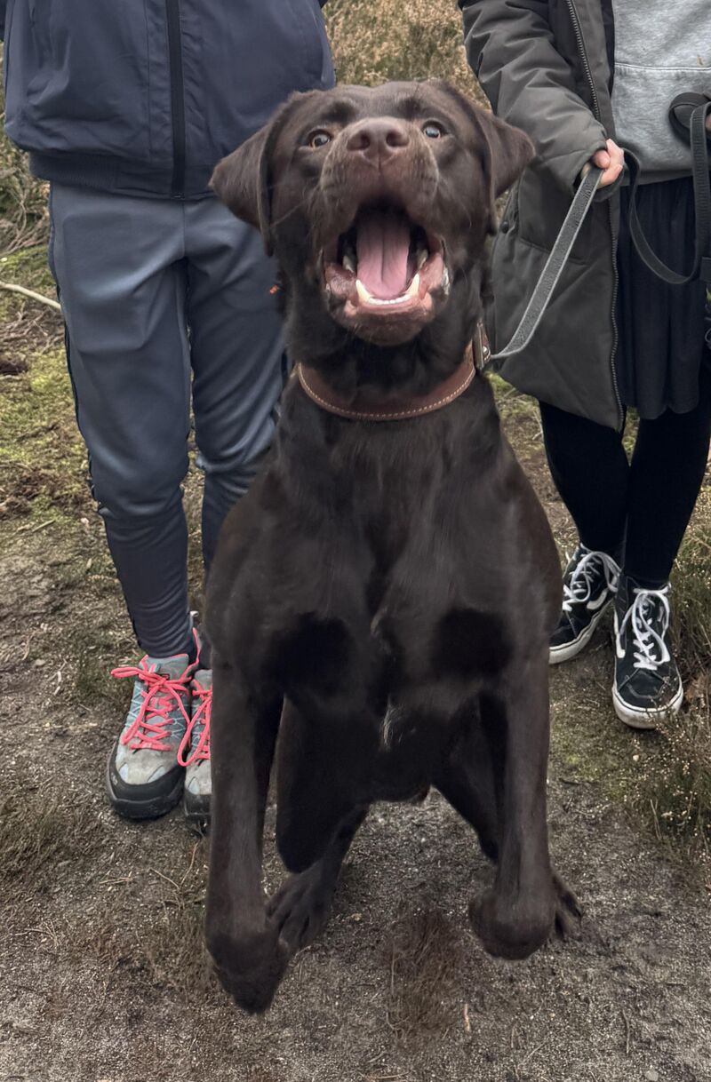 Trying to take a family shot with our derp