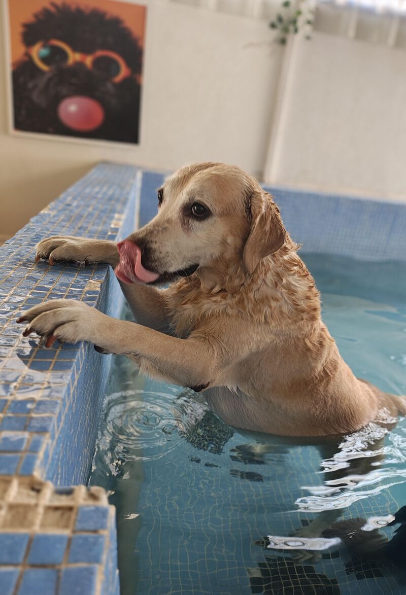 Some hydrotherapy for our 10 year old baby girl.