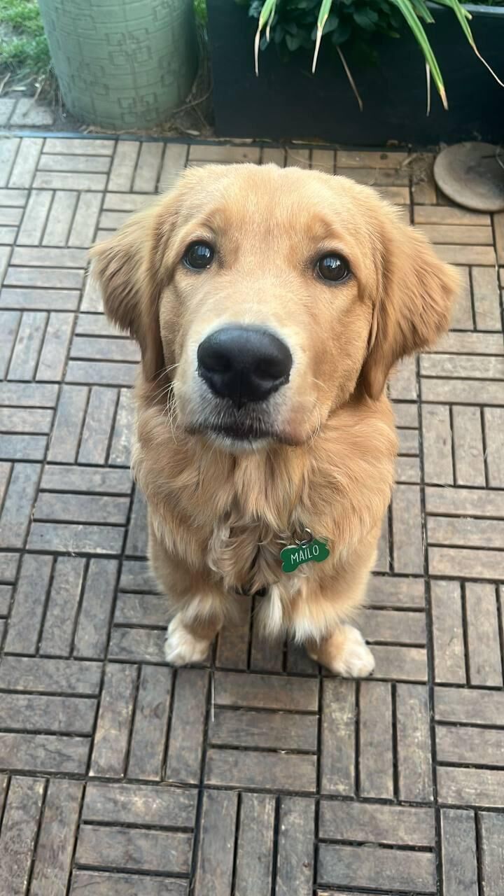 Mailo‘s first time on social media