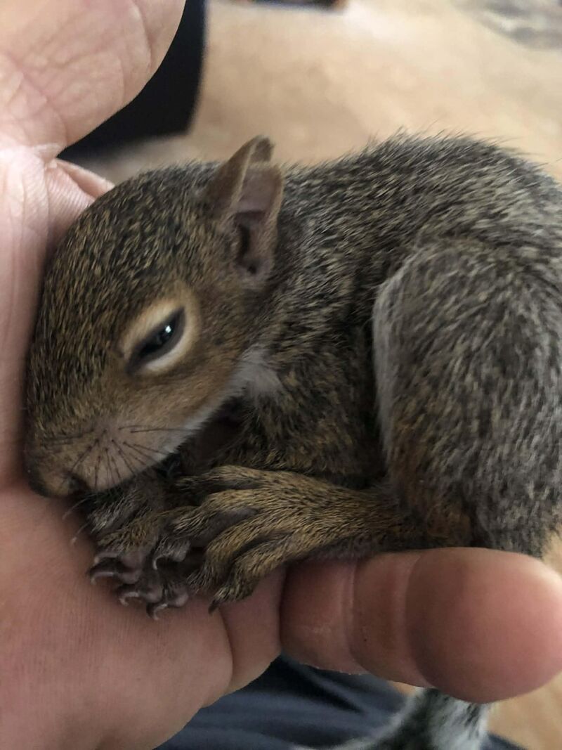 Chipper when he found me. ❤️