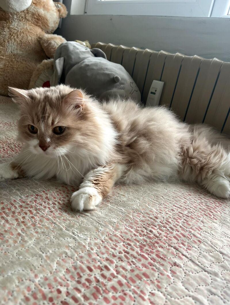 This is the face of someone who knows they’re cute and is abusing it