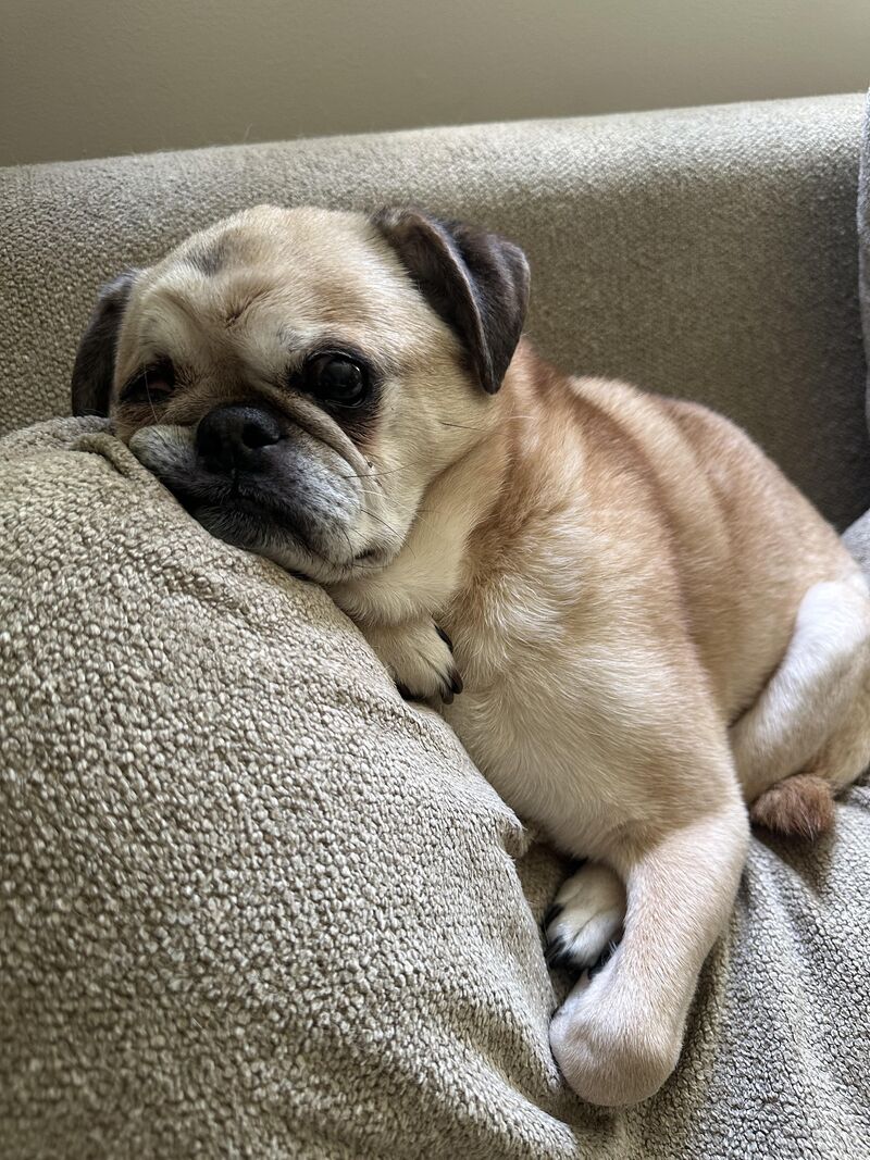 This guy doesn’t look a day over 10! (He’s 14)