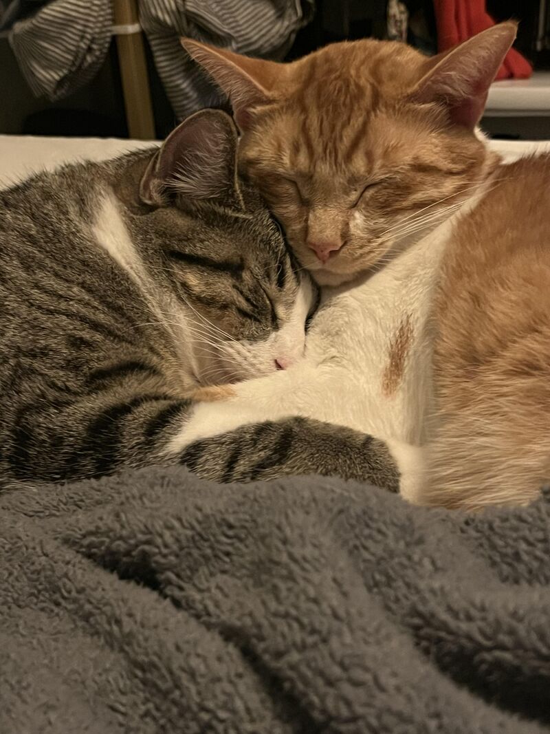 The boys are so sweet