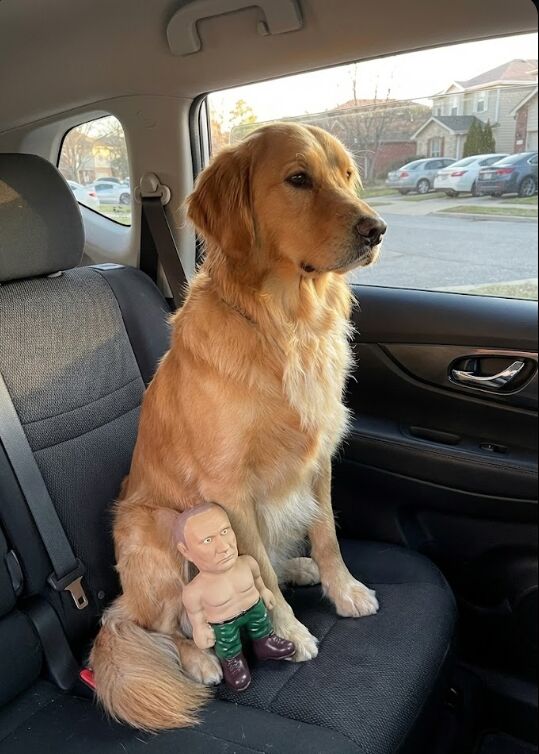 He won’t go anywhere without his favorite toy. Car rides included.