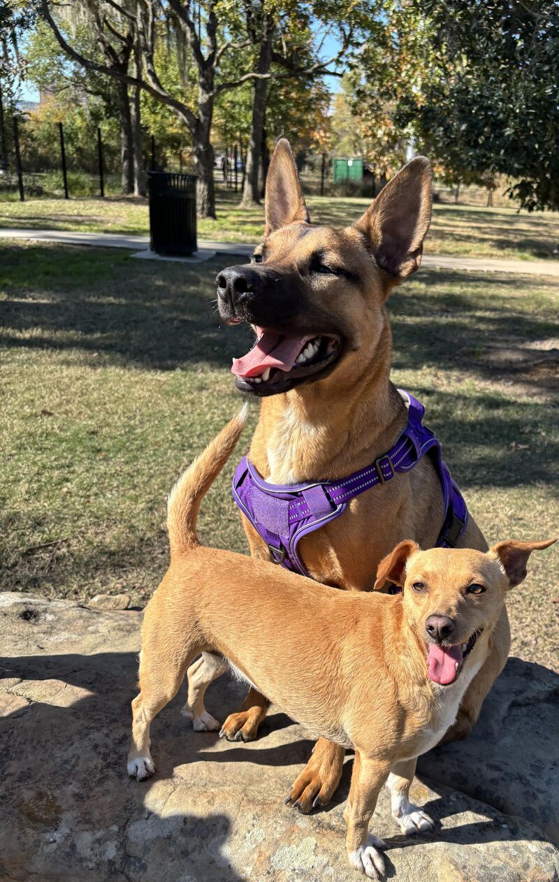 Blinky and Persephone