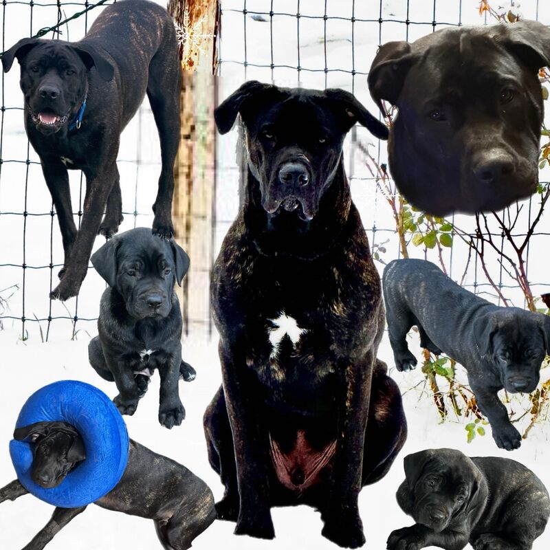 He will forever be my big wittle baby