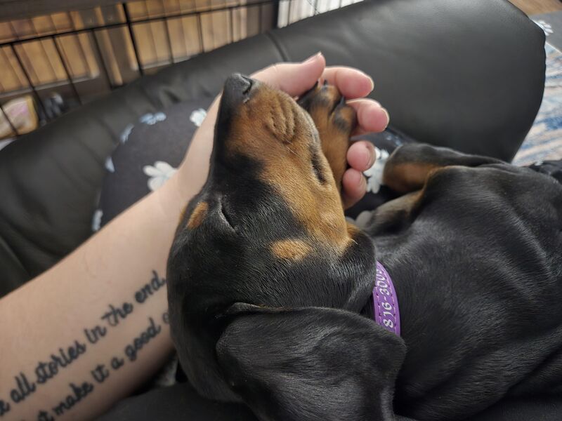 Head was too heavy. She needed a helping hand from Dad (11 weeks today)