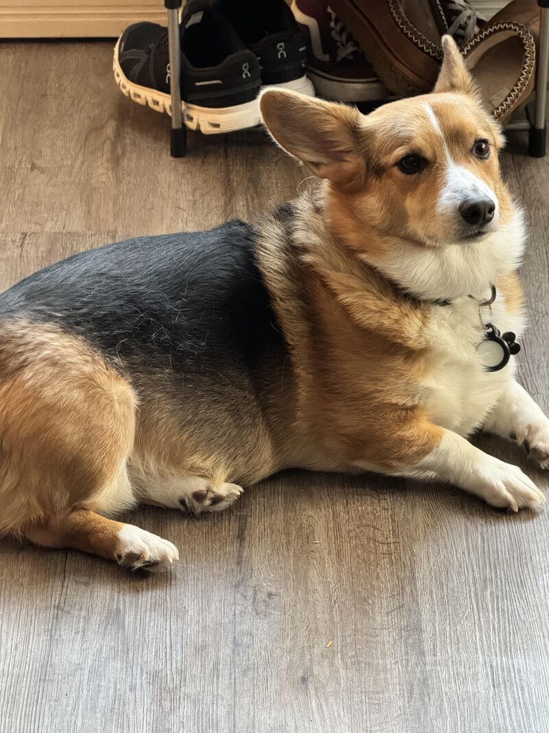 Easy ladies one at a time