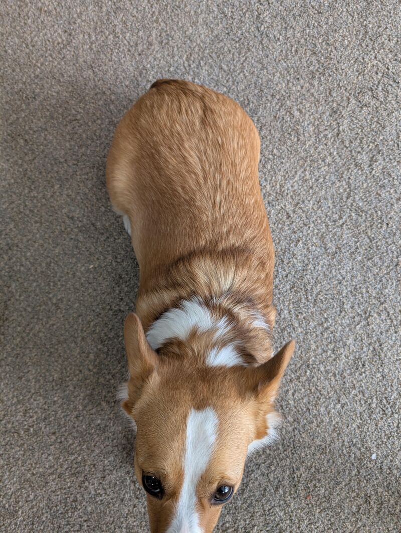 New unit... Absolute chonk