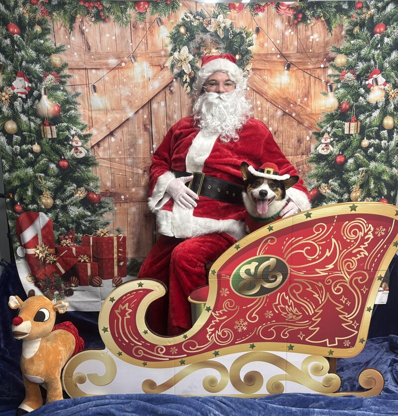 Someone loves Santa🧑‍🎄