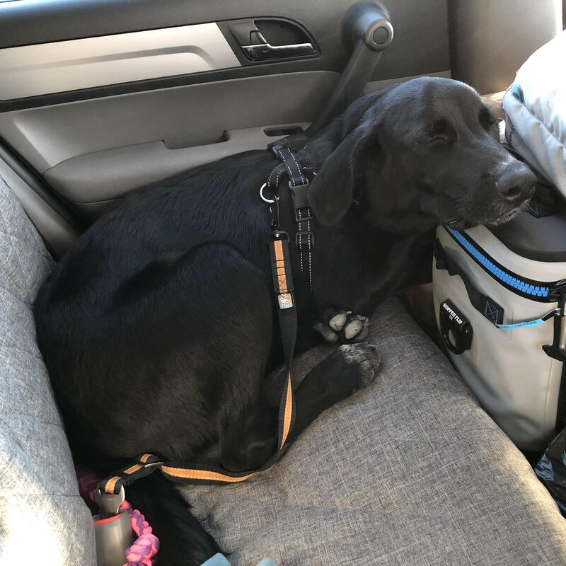 Years ago when my little nugget only needed one side of the backseat… he’s now grown up and gets all the cargo space with seats folded