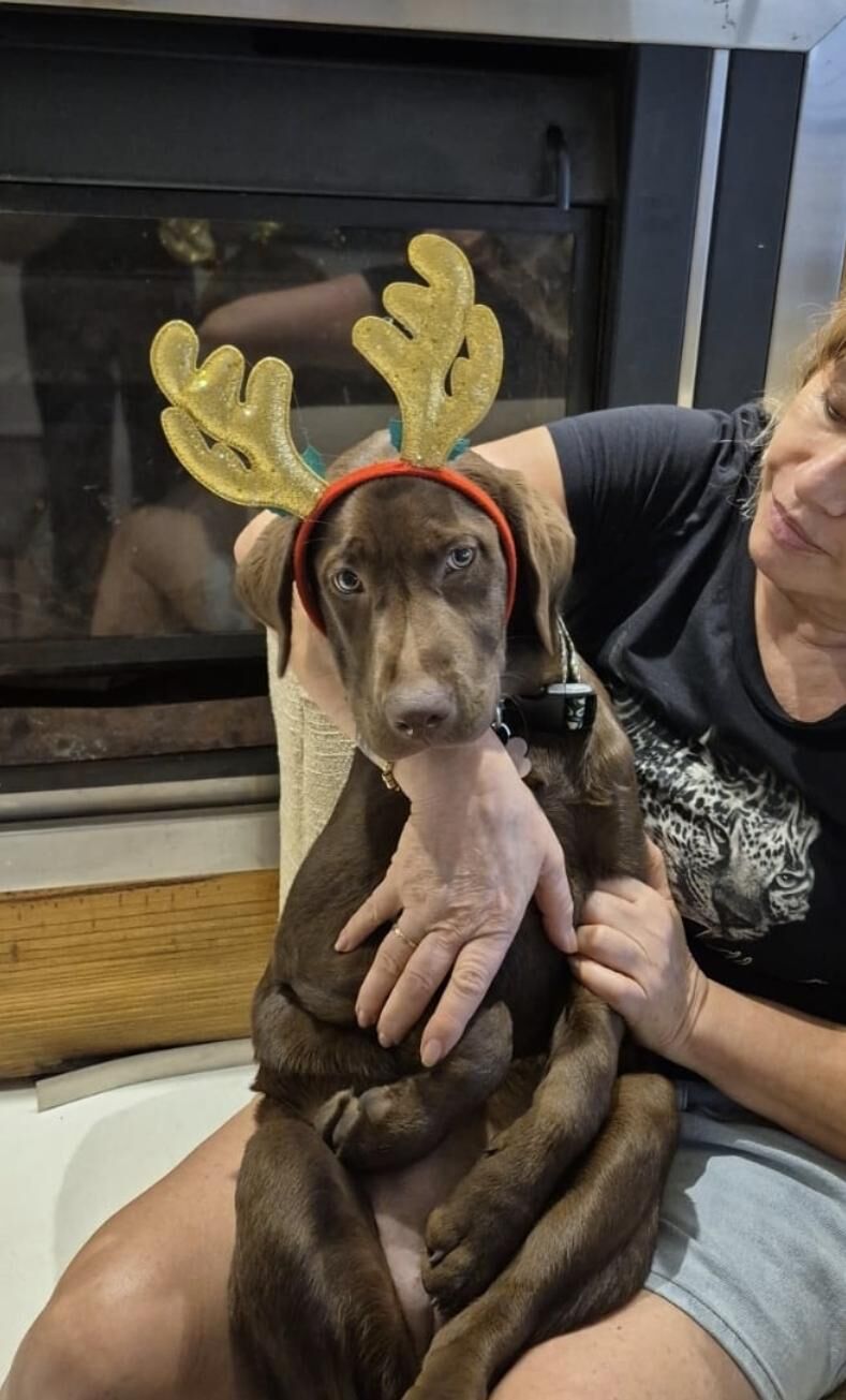 Meet Eva, my grazy girl,we love her