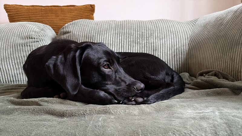 6 months of crazy love