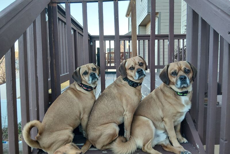 Rick, Morty, & Jerry posing like gentlemen