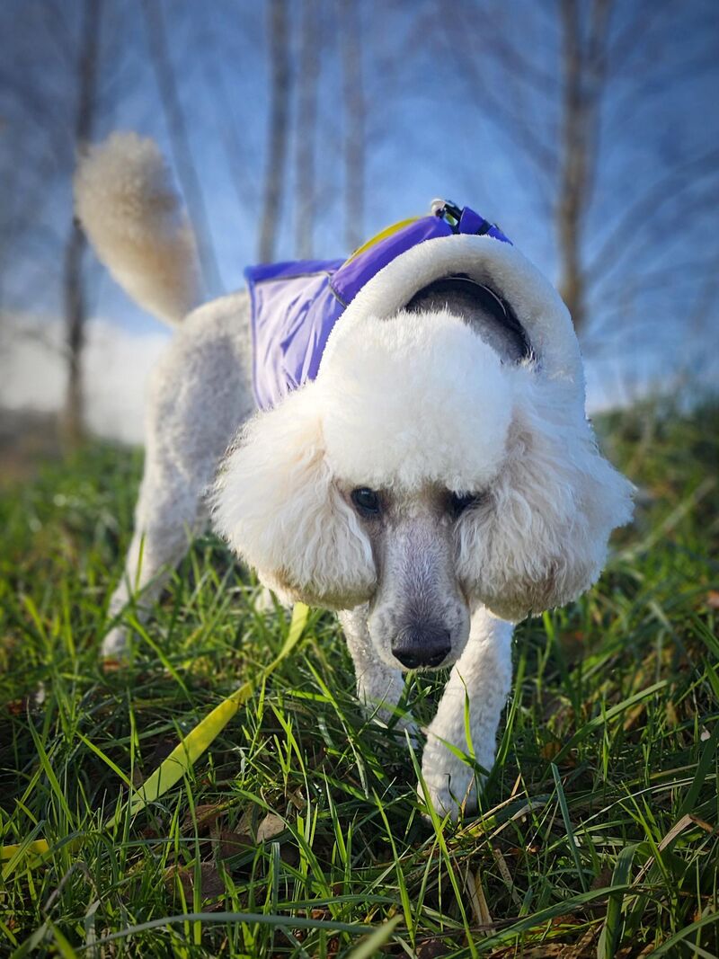 Well, hello there from Chuck!