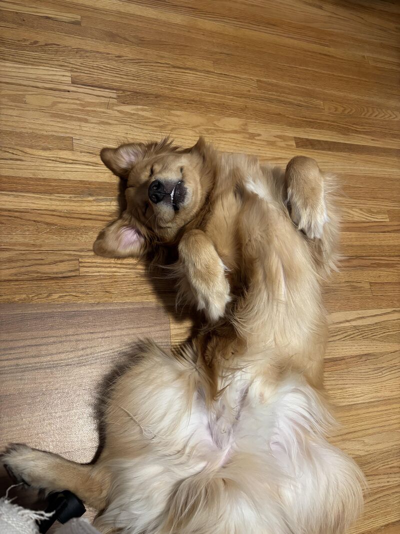 Is there a factory reset button?