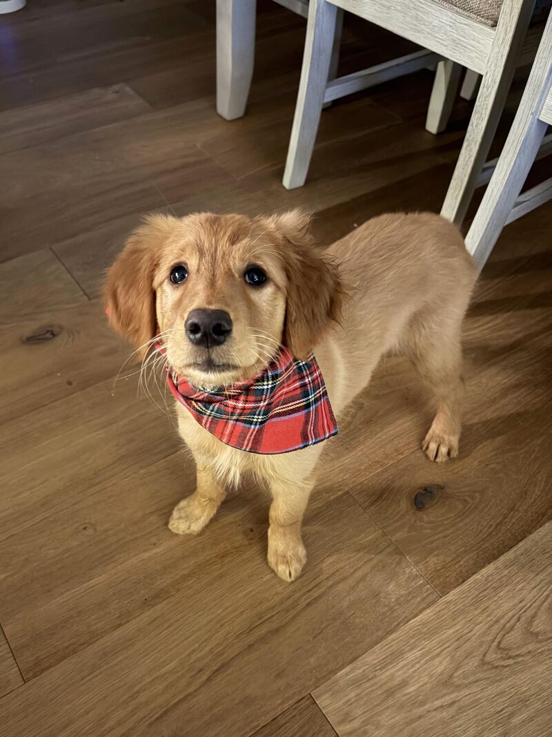 Advice for teaching her not to steal stuff?