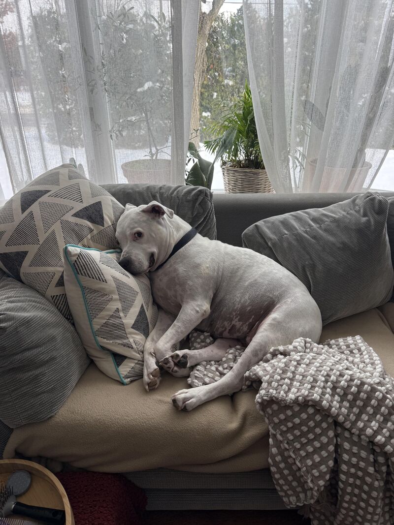 That look when she knows she’s in my spot ❤️