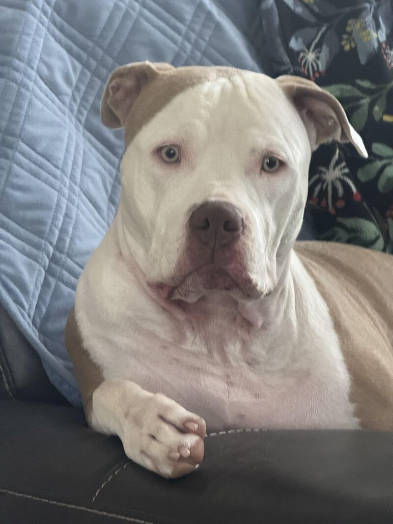 My heart is breaking