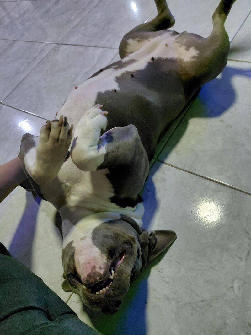 We played for a while and she's the happiest 😄🥹✨️