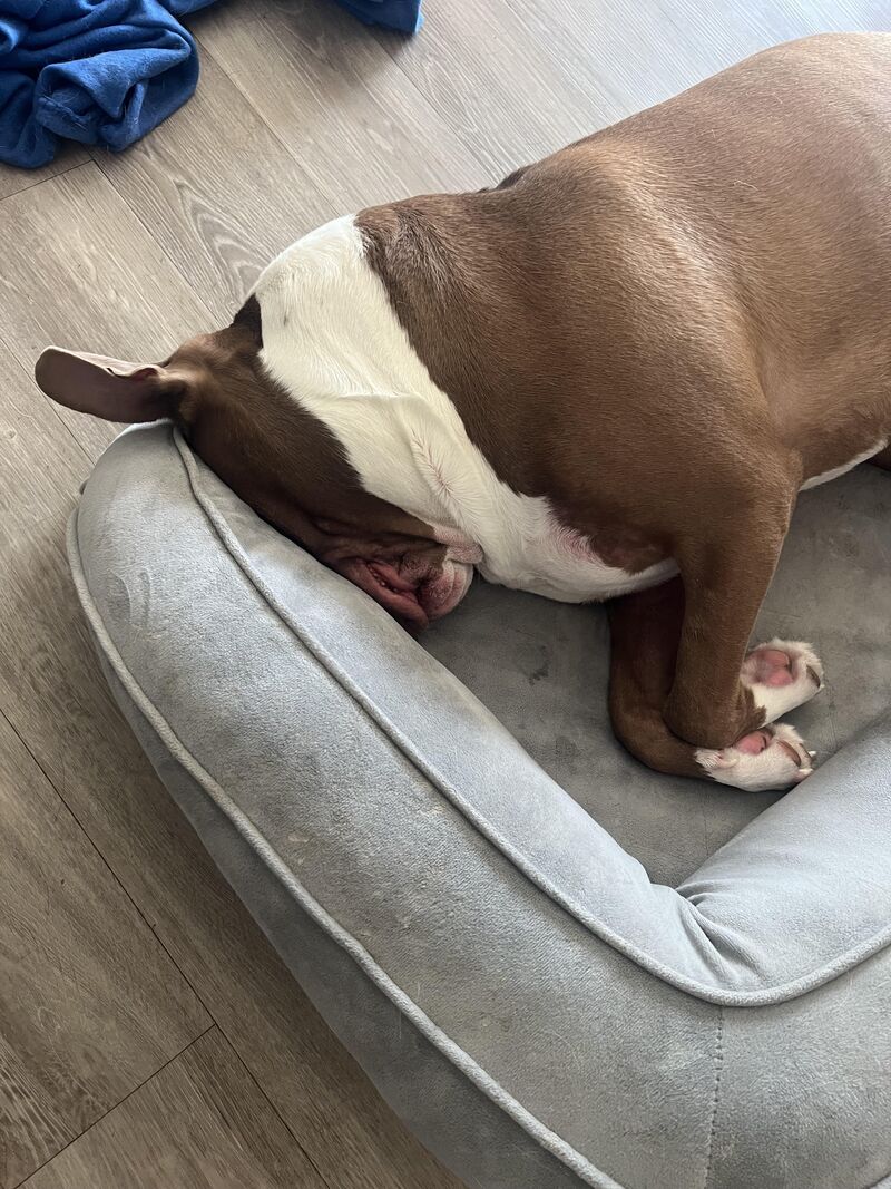 Mars loves his sleep