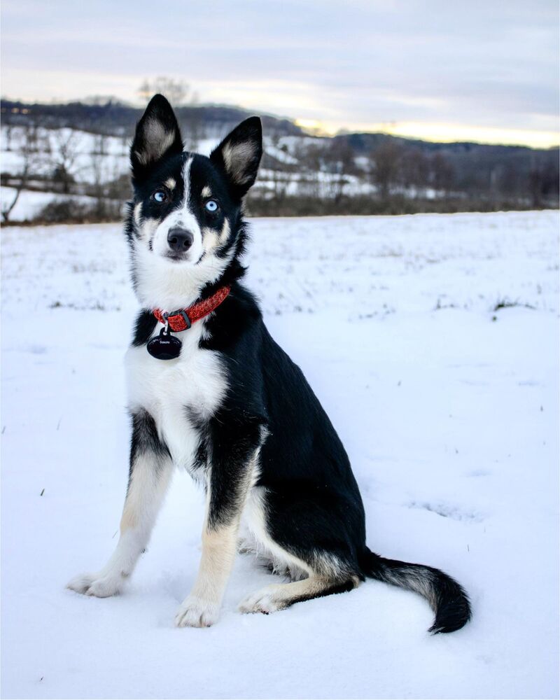 Will she always ignore my request to go inside?