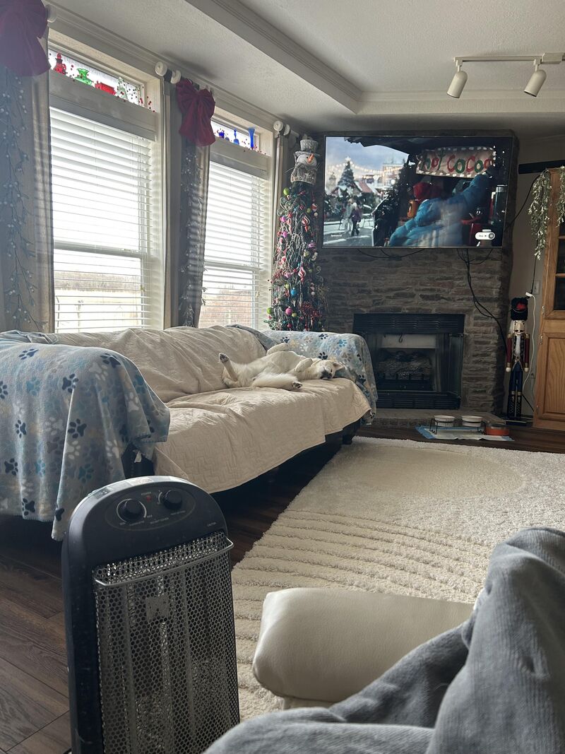 Just a quick nap after her morning perimeter check.