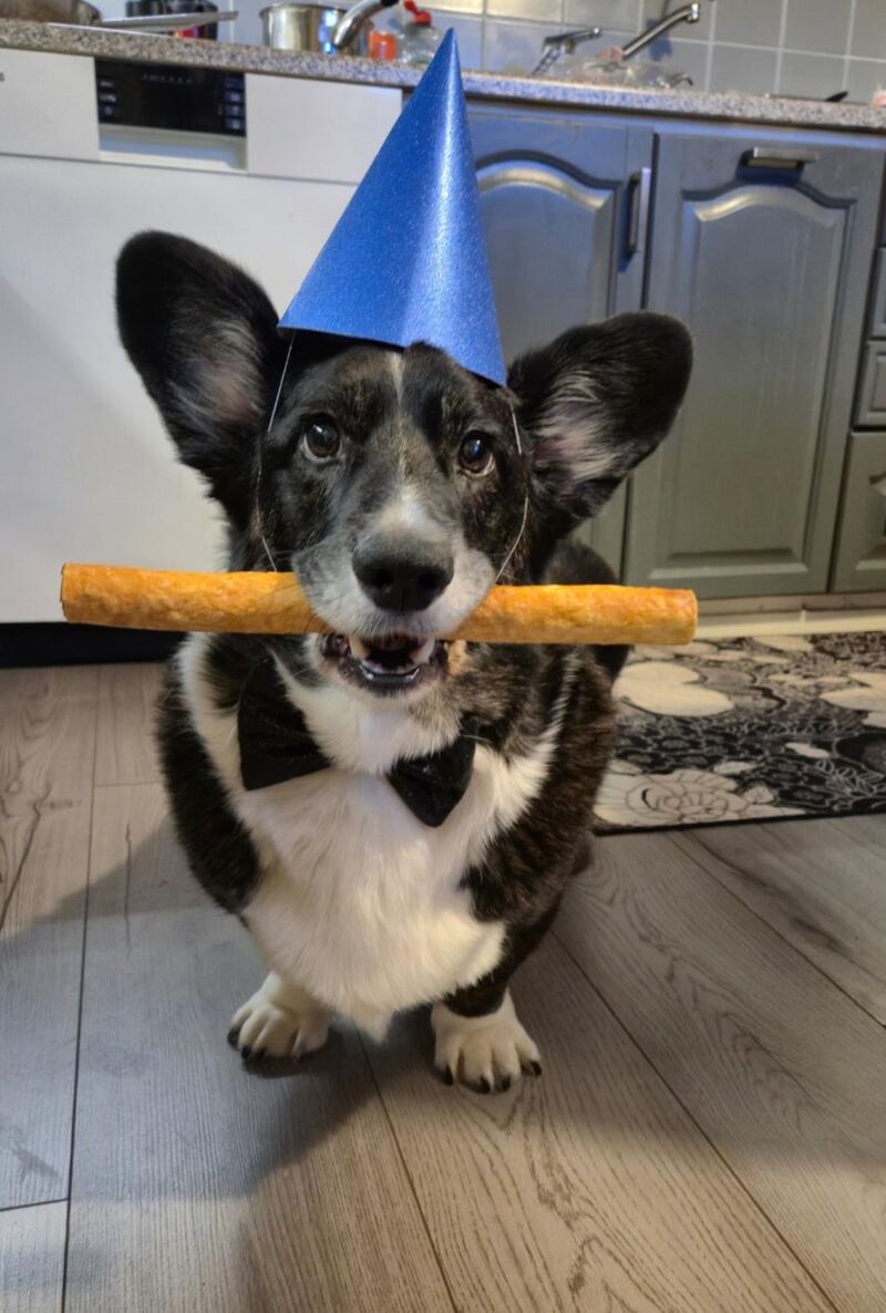 I am sorry for asking this (cardigans)