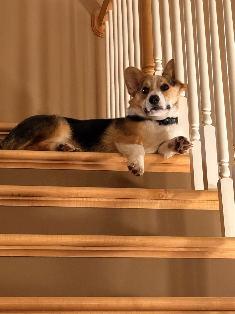 My daughter walked past him while on the steps and this is the look she got from him.