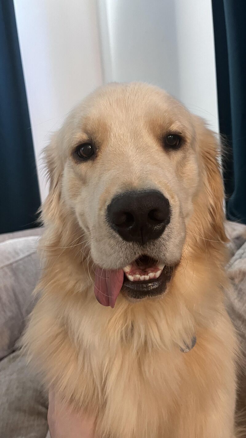 Teenager terror phase