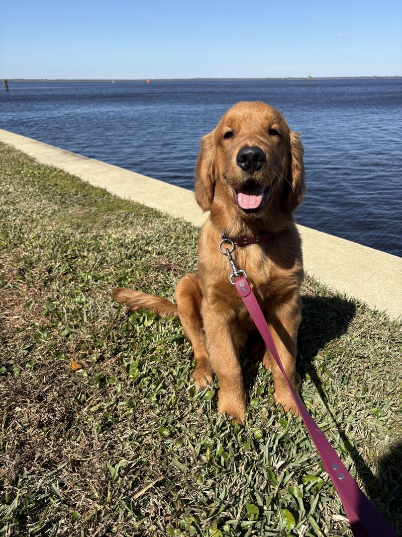 My boy turned 6 months today