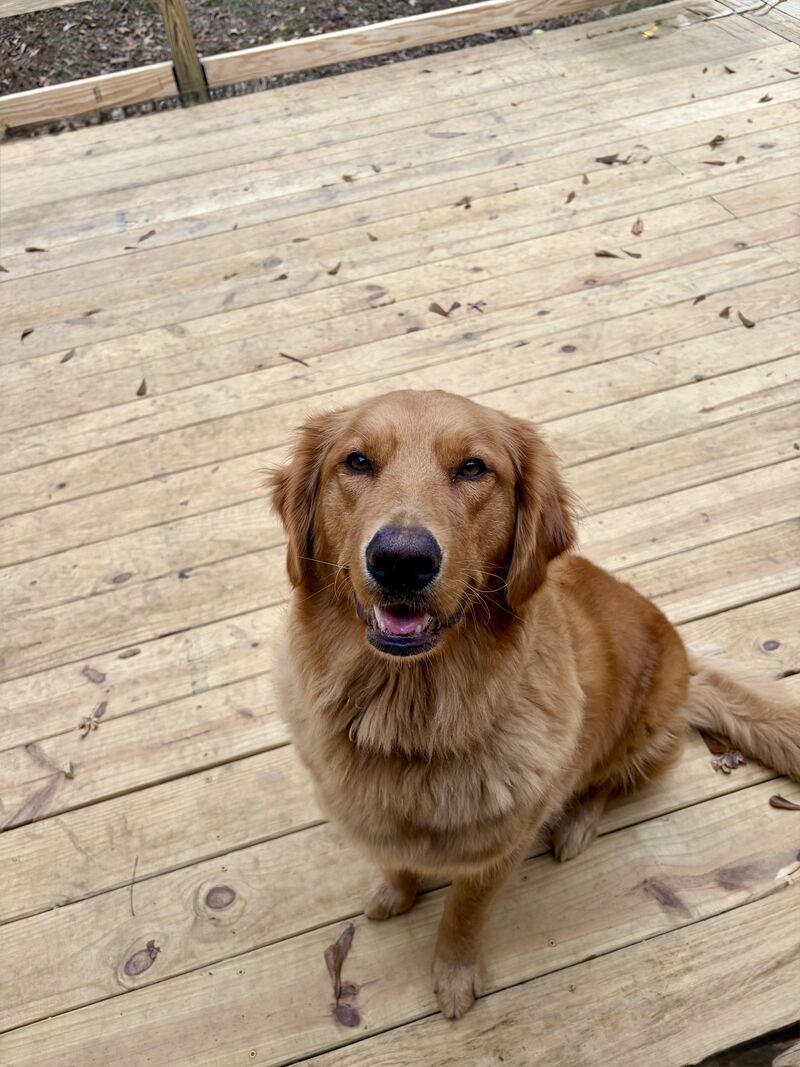 Successful Hip Surgery