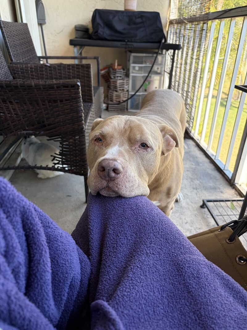 I just want attention mom!