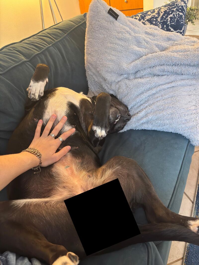 Why do they do this...😭