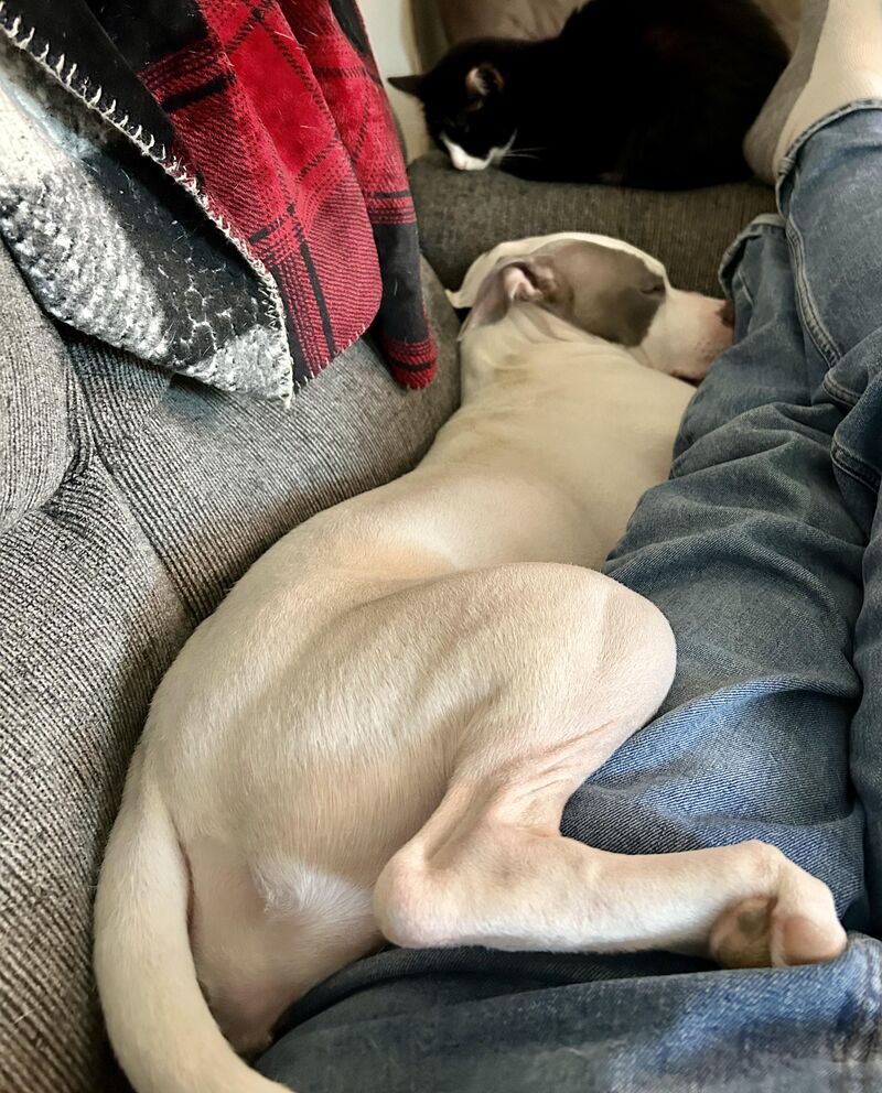 When she insists, she’ll fit!