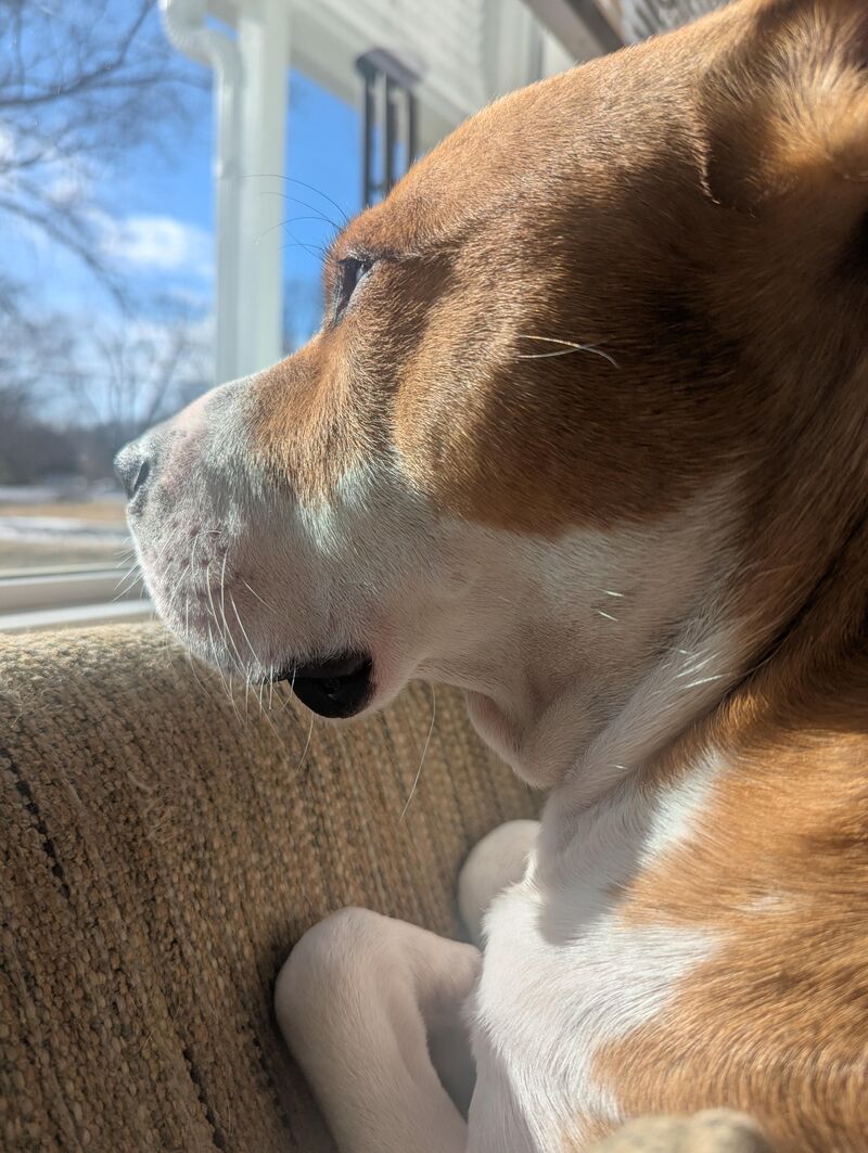 Sun's Out But It's Still Freezing